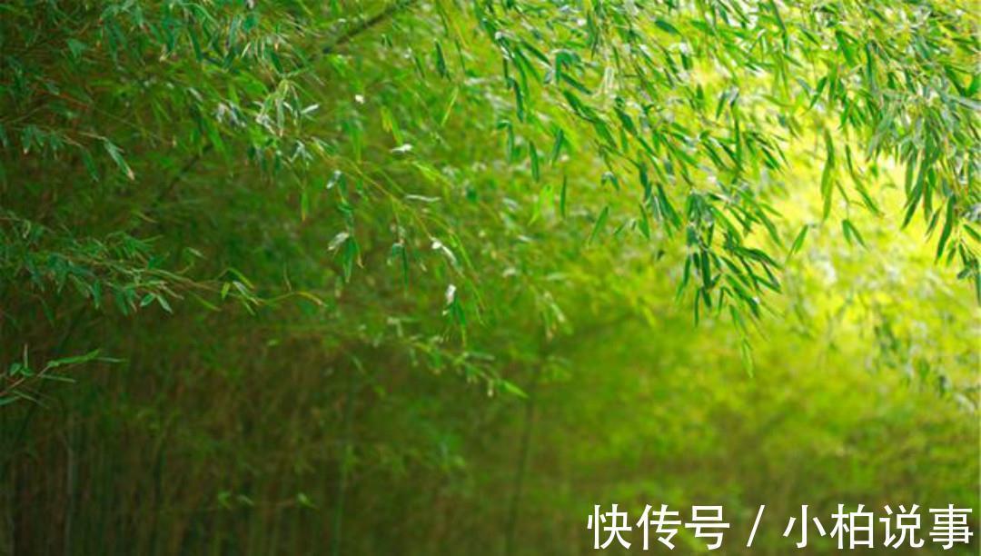 王维#王维的境界无人能及,晚年写下的这首五绝,一字一句超凡脱俗!