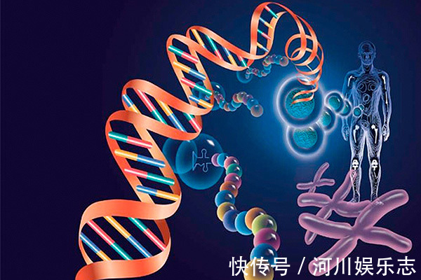 醛固酮增多症|刚一落地,就已经被高血压盯上了高血压也具有遗传性