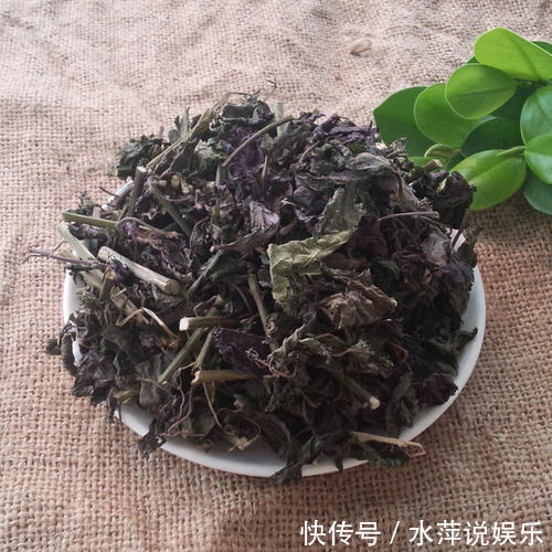 苏梗|乡下田间地头常见的“紫苏”,8大功效,教你全部吃出来!