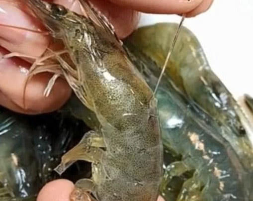 挑虾线别再用牙签了，海边人用“小妙招”，1秒一个简单易学