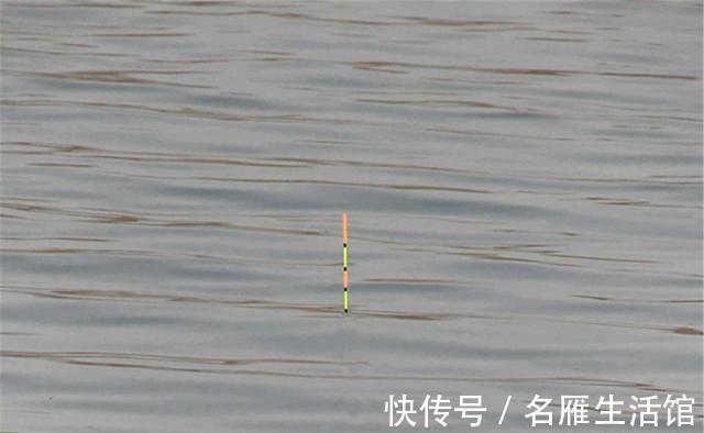 漂相|钓鲫鱼的调漂方法：以不灵不钝为基础，在这个基础上微调找口