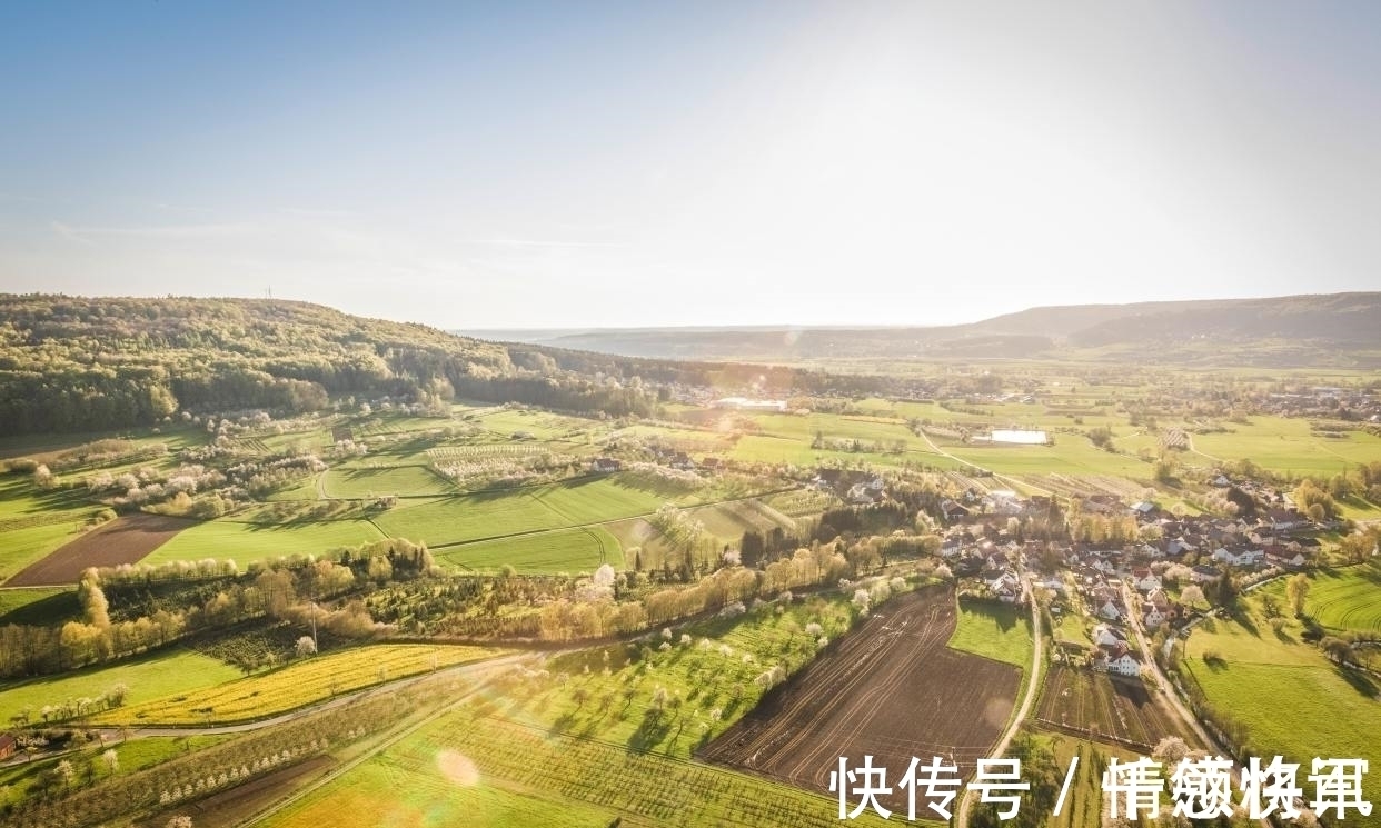 春天!王维很美的一首田园诗,短短4句却写得扣人心弦,值得学习