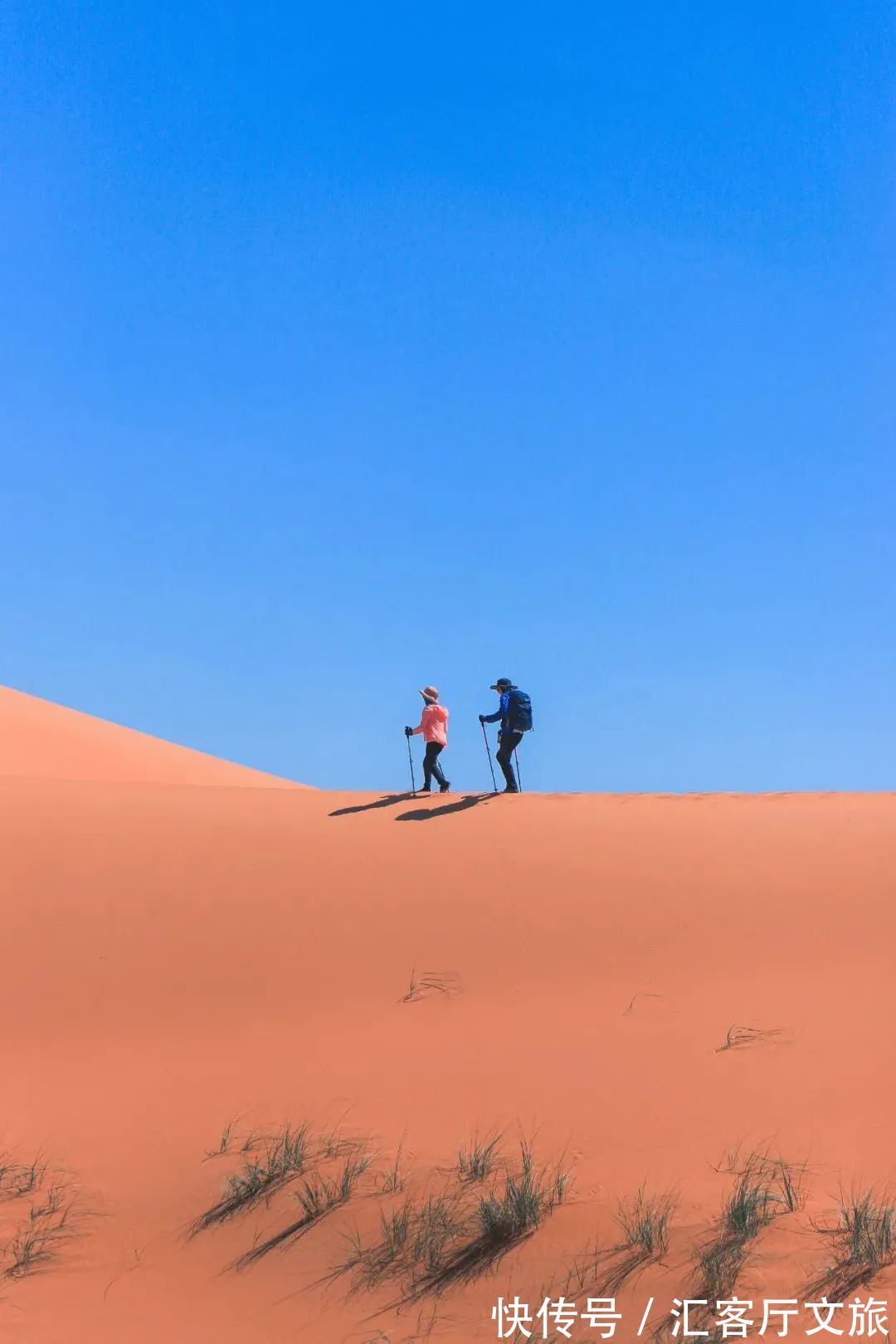 沙漠|除了黄沙漫天,腾格里的沙漠里还能干什么?