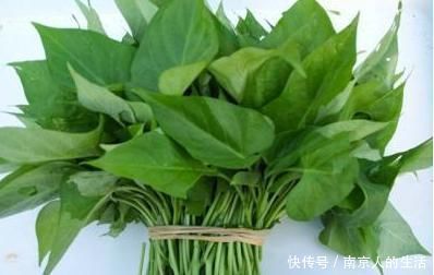 红薯叶为何一炒就黑，原来是少放了此物，难怪又黑口感又不好