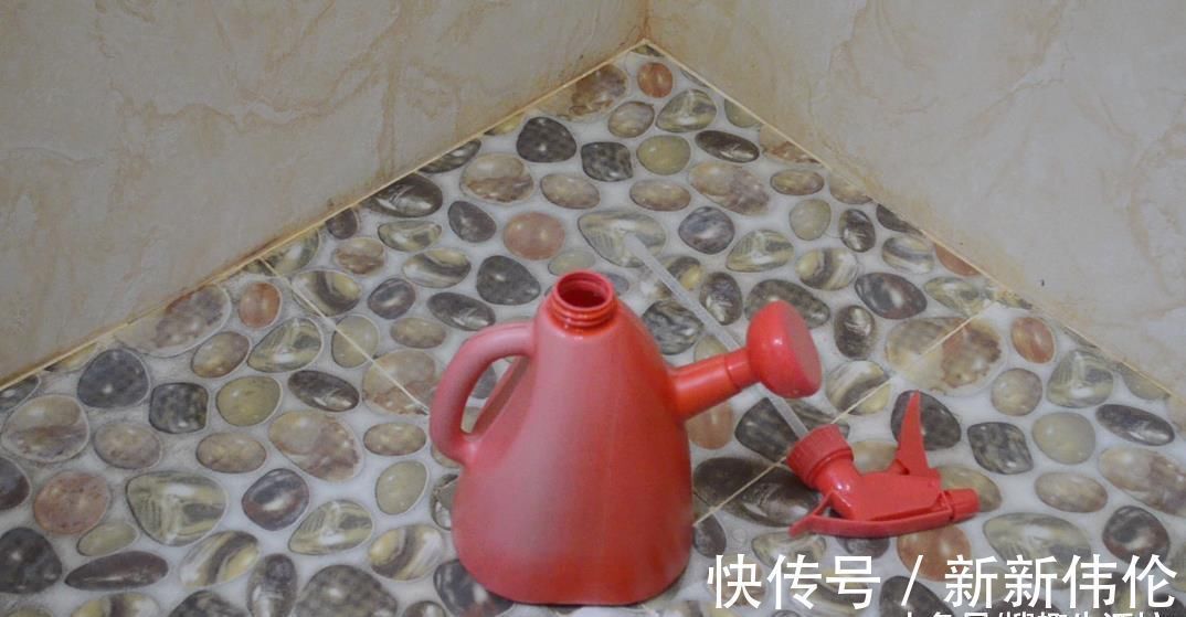 卫生间墙角喷一些它, 角落不脏不臭, 还没有小飞虫, 试过的人都夸好