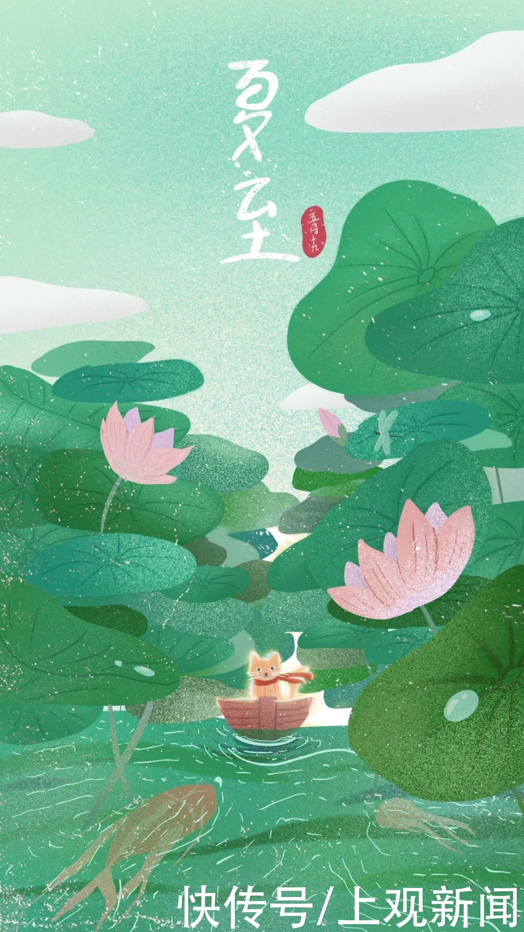 梅雨|今日夏至！防潮的“锦囊妙计”来了