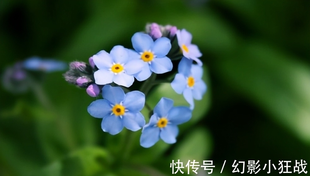 男人|男人爱一个女人到极致,通常会有几个生理反应,特别明显