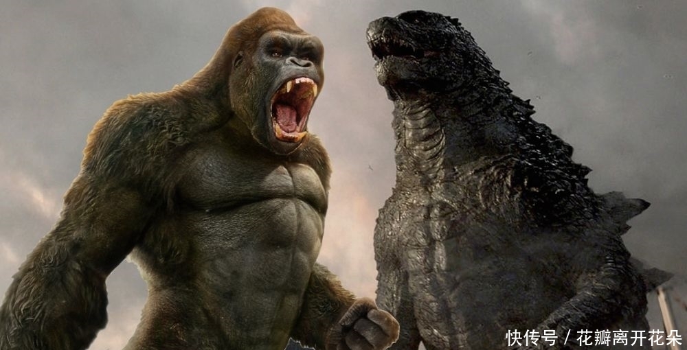 联动|哥斯拉和金刚将再度联动,两大巨兽合体会是什么样儿?