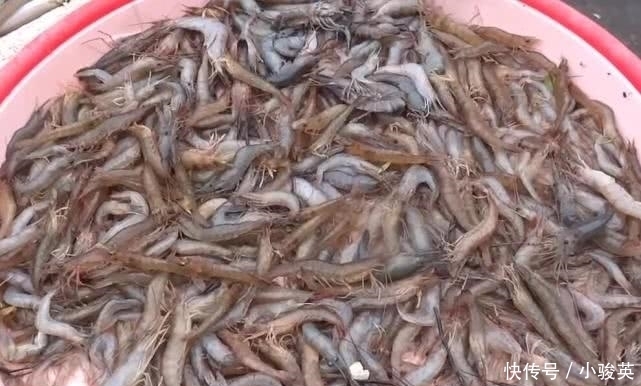 眼下|大妈路边卖“它”,从前都泛滥成灾了,眼下却成了宝,1斤也难求