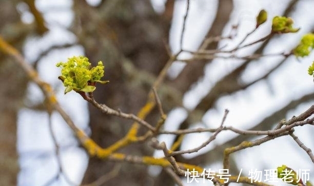 双子座|往后2天，雨过天晴，过往不计，情深难弃，情深难舍，余生幸福