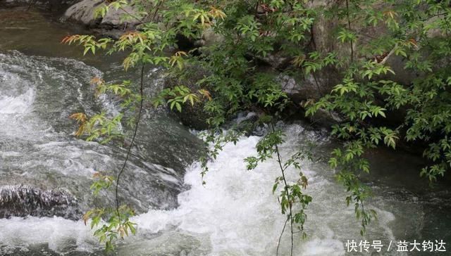 秀美山谷的春色,尽在一首无题诗中,无一个情字,而又字字关情