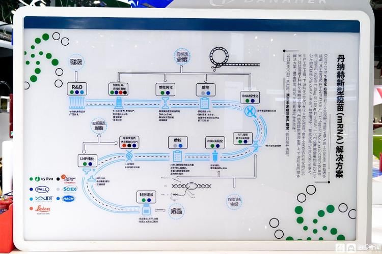 庄滨滨|新冠肺炎口服药进博会揭面纱 众多抗疫前沿展品亮相