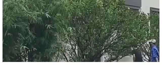 青春环游记3正式录制,范丞丞宋小宝合体变奥利奥兄弟,杨洋路透有惊喜