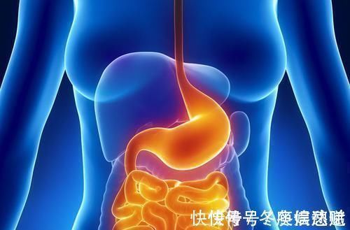 山药|胃不好别总吃药!6种食物换着吃,养胃护胃,赶走“幽门螺杆菌”