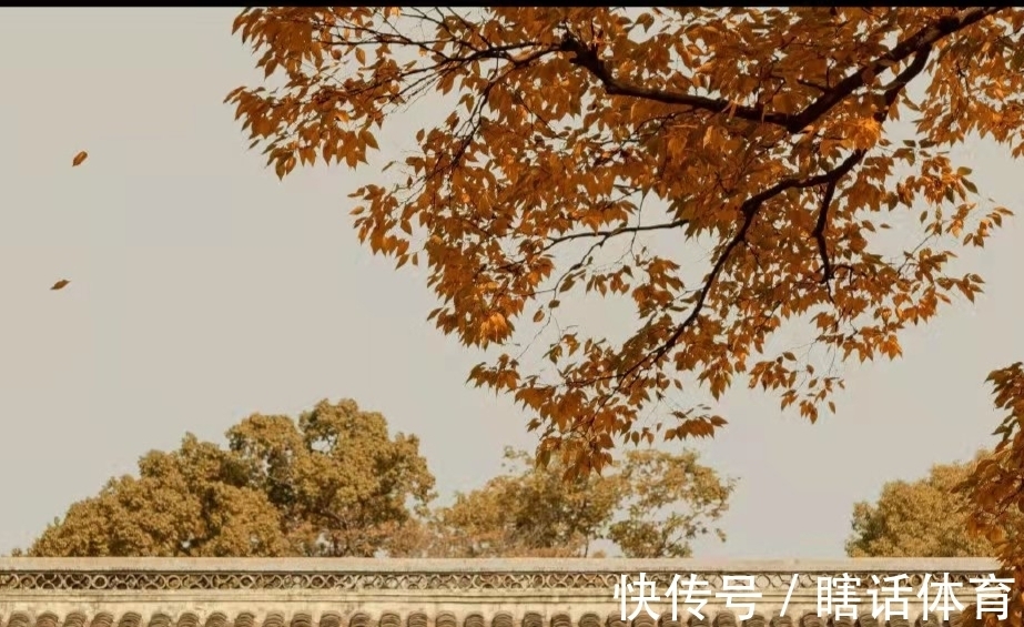 惠州!苏轼与这任夫人的爱情故事,是爱情最美好的模样,读着读着就哭了