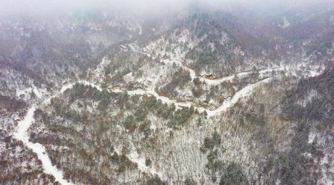 林海雪原|“林海雪原“看吕梁