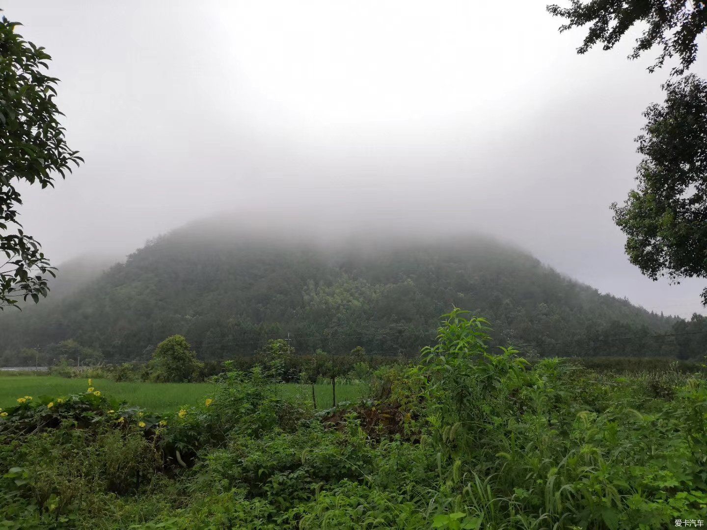 早知神仙居，何必去黄山