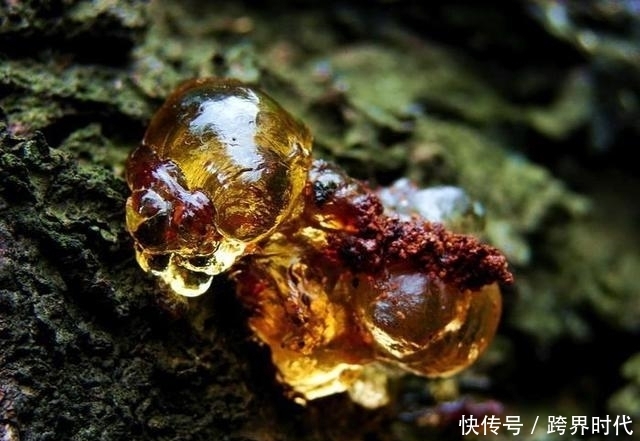 皮肤|40岁女人别不舍得保养,多吃这些“碱性食物”,皮肤细腻光滑