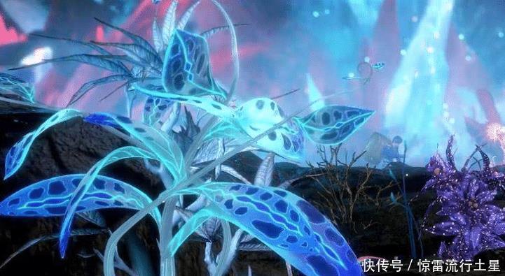 最低|斗罗大陆唐三体内的神之领域,杀神领域是最低层次,它可以弑神!