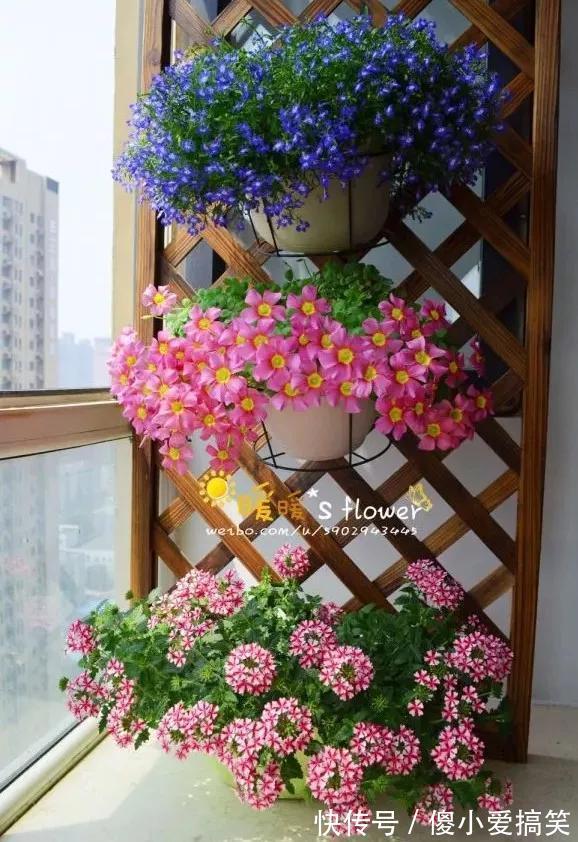 花园|3平米小阳台,也能变花园,有露台、阳台的千万别浪费!