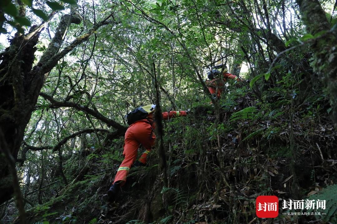 哀牢山|云南哀牢山遇难者遗体转运出山：当晚下了冰雹，救援队有人累倒山上