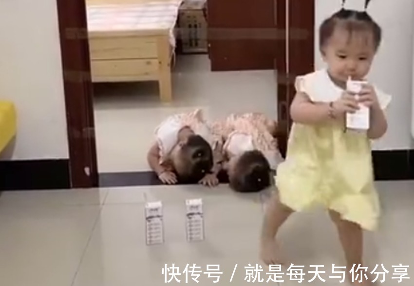 运动|妈妈在门前放了三喝奶并设置一道障碍,三胞胎宝宝拿奶的方式亮了
