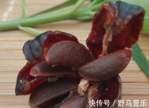 建议中老年人少吃瓜子花生，多吃下面几物，好吃不贵又健康