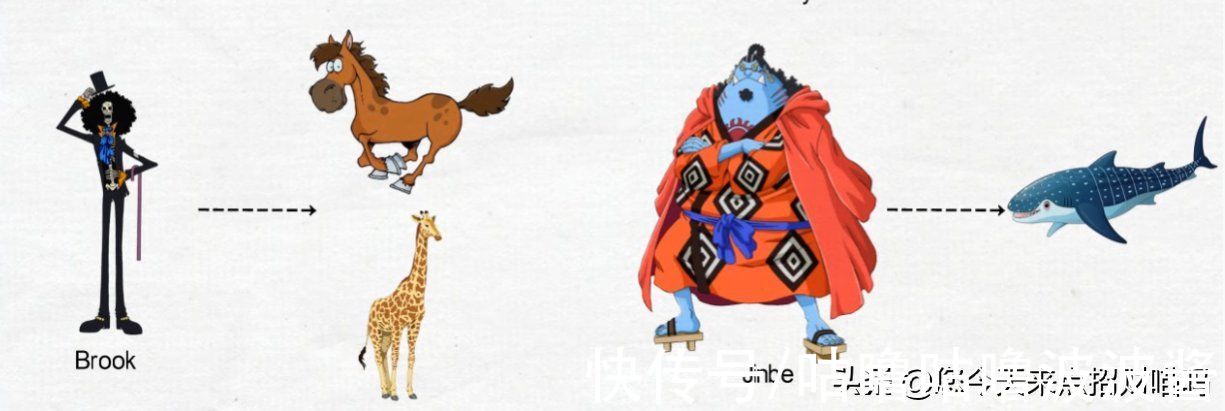 外观|海贼王：角色外观属性符合哪些动物特征，竟然有人还是双修（上）