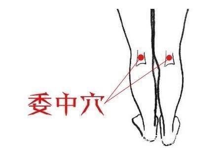 承山穴|日常养生十穴养肝健脾、排除湿气、治疗耳朵疾病