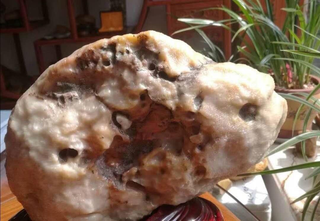 行云石居|一块像凤凰的树化玉,有个老板愿出五万购买