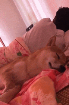 |搞笑GIF:厉害了我的大货车司机,这空调效果一定够爽的吧