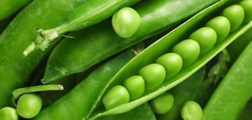 棒棒哒|想长寿先排毒,要多吃3种食物,排毒养颜,身体棒棒哒!