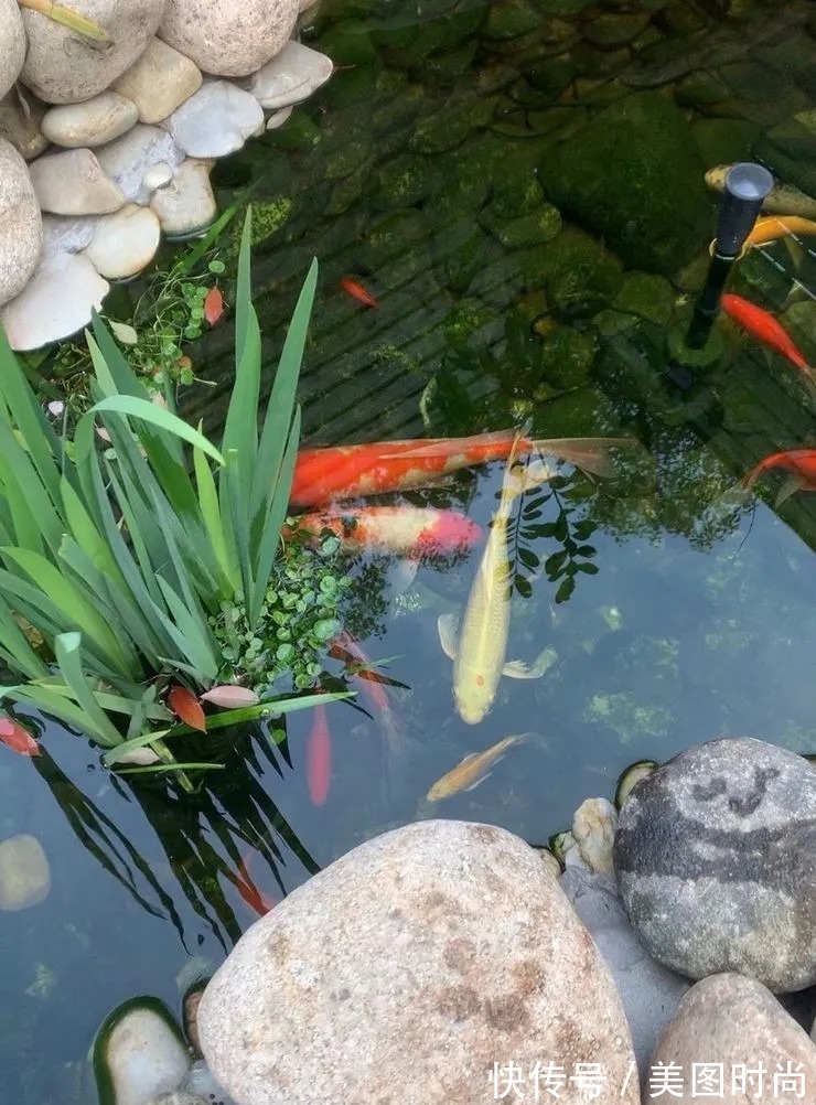 防腐木|为了这个45㎡小院子,坚持买了一楼,打造成花园后比别墅还好看