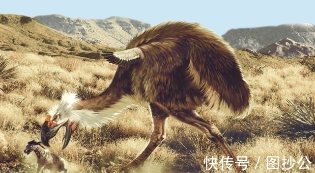 阿云嘎|奥运会预热,东京上空出现6层楼高巨脸,可为什么我们会害怕呢?