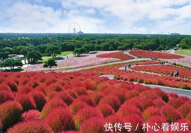 一年四季|日本最漂亮的花园，一年四季花开不败，景色绝美如仙境