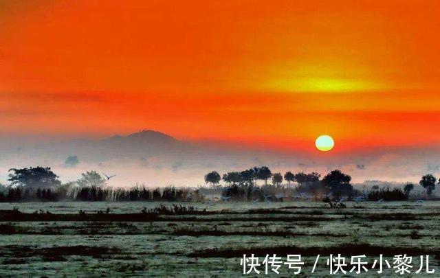 美好的时光|2月末前世有缘，带来情意，手捧桃花，与真爱赏良辰美景的4星座