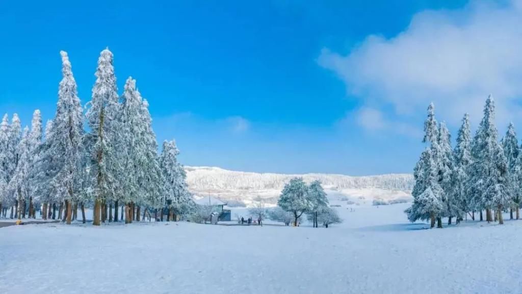 1小时飙拢！去重庆看雪！云海雪山森林，下山还能泡温泉！