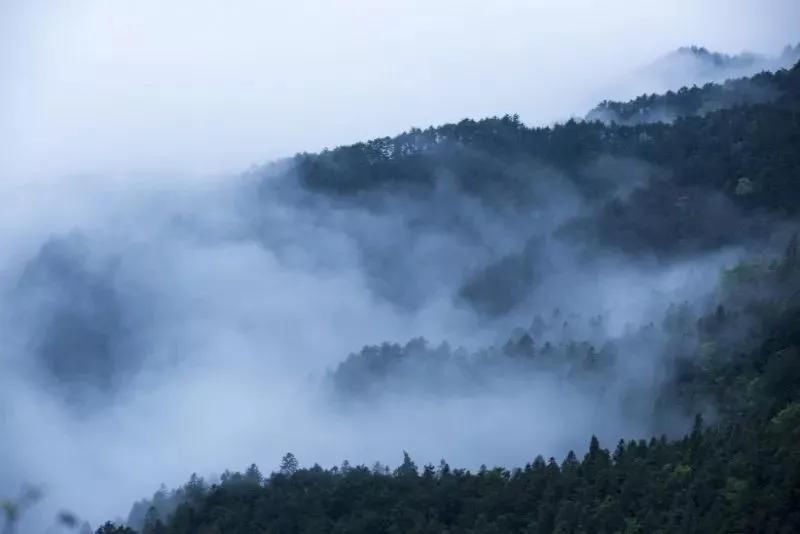 李白|李白：两岸青山相对出，孤帆一片日边来