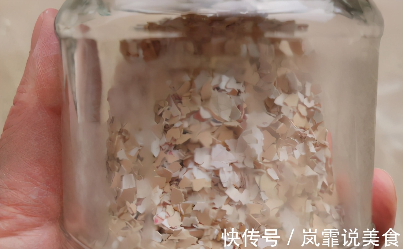 蛋壳的营养、制肥方法、养花的好处,大家知道多少