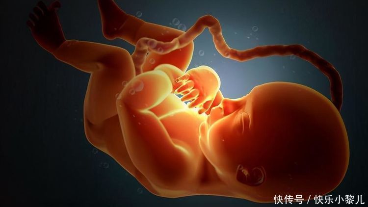 脐带|怀孕期间,这几周胎儿最容易脐带绕颈,孕妈要做好预防工作