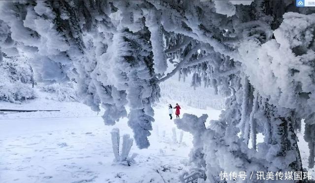 重庆周末去赏雪：新一轮降温后，雪漫人间！这些地方都可以赏雪