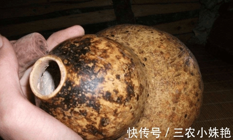 农村|农村一种昂贵的树, 与紫檀齐名, 过去只有皇室才能用