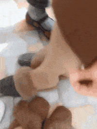 |搞笑GIF:这你都跳不上去,怎么捉老鼠