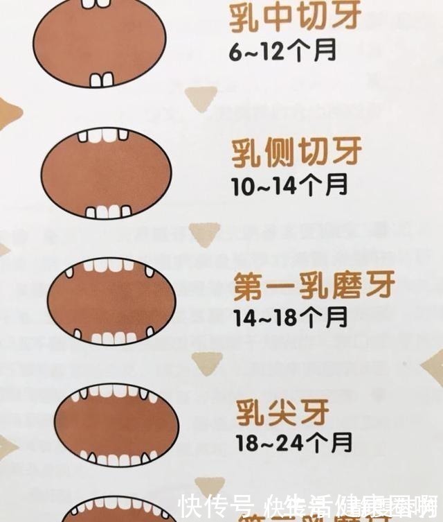 乳牙|孩子乳牙迟迟不掉,大多因为食物太精细,换牙期孩子要多咀嚼!