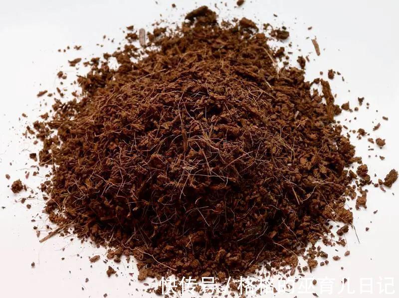 新手养花须知,这种土透气又保水,还纯天然