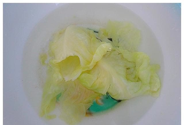 合子|春天是孩子长个的好时节,不吃肉也要吃这菜,用来做馅真香呀