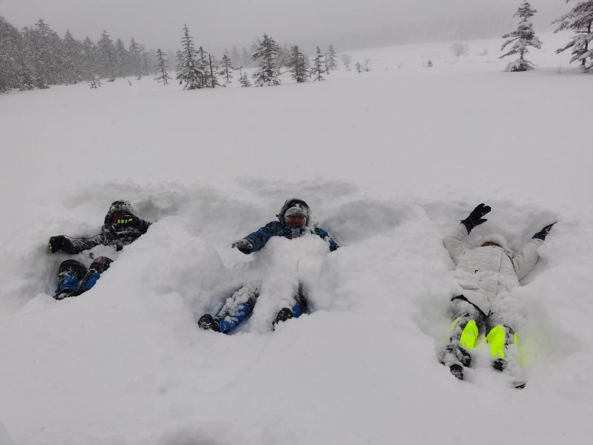 原生态|雪深超一米 凤凰山高山雪原“风姿”初现