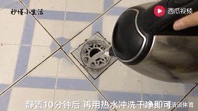 卫生间异味太难闻？放上它，一年不清洁都不会有异味！