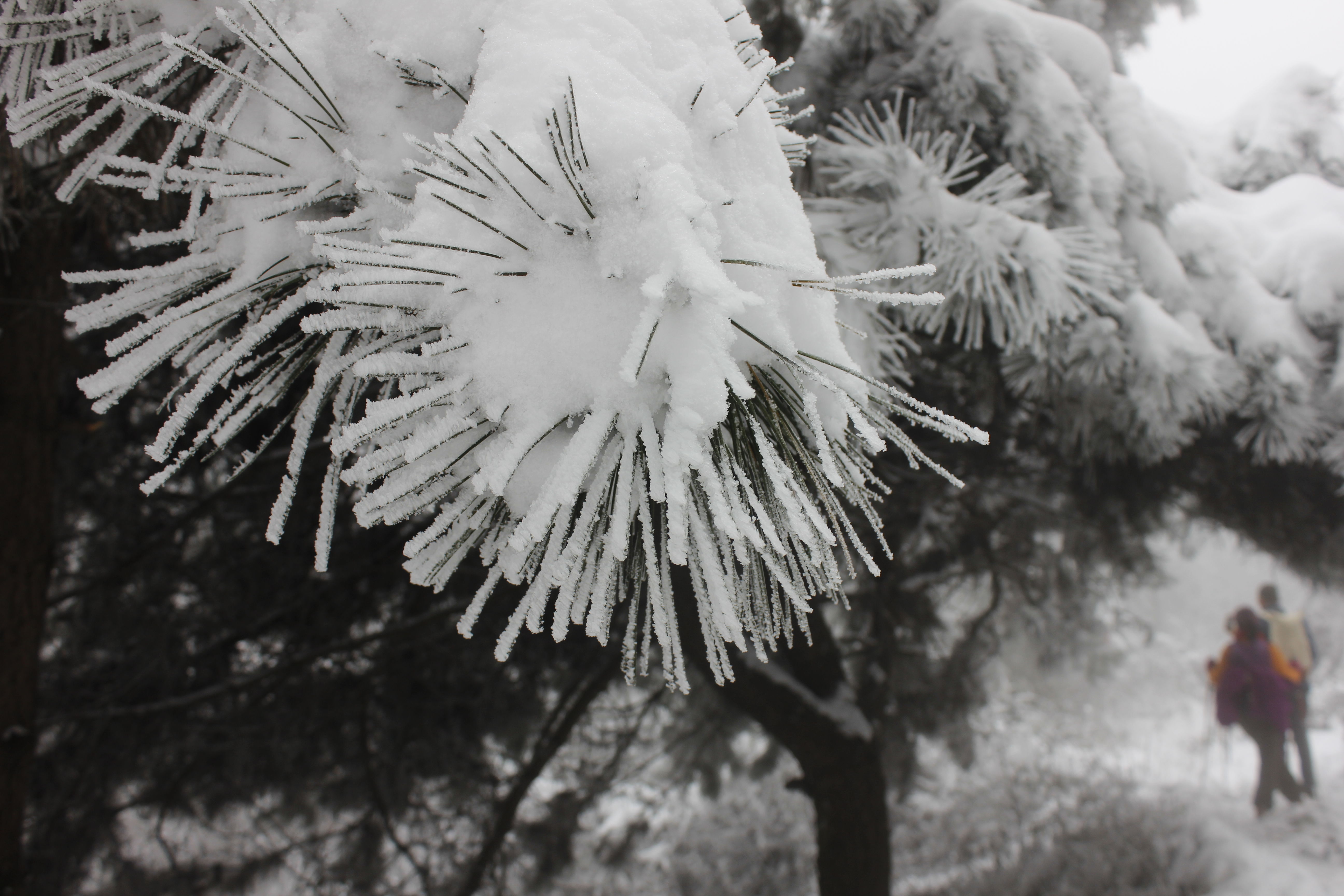 征集|【年末福利征集】雪后南五台幸遇云海