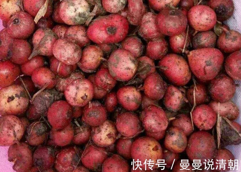 皱纹|女人常吃此物,子宫越来越干净,不想满脸皱纹,可以试试